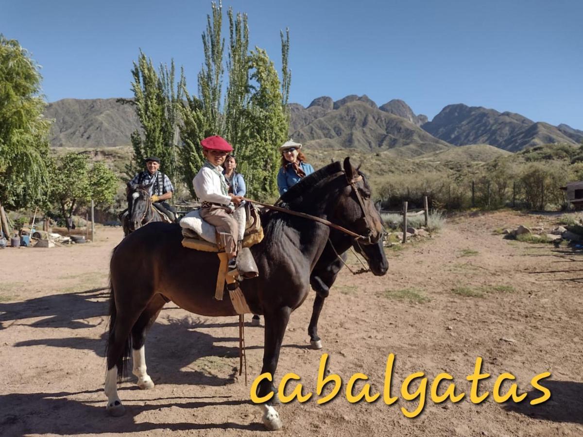 Cabana Pica Piedra Mendoza Buitenkant foto